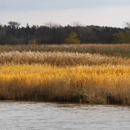 Am Trommelplatz - 2 *