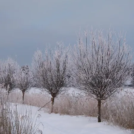 Am Trommelplatz - 2 Wieck